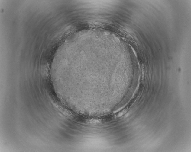 X0000088590649200706151737