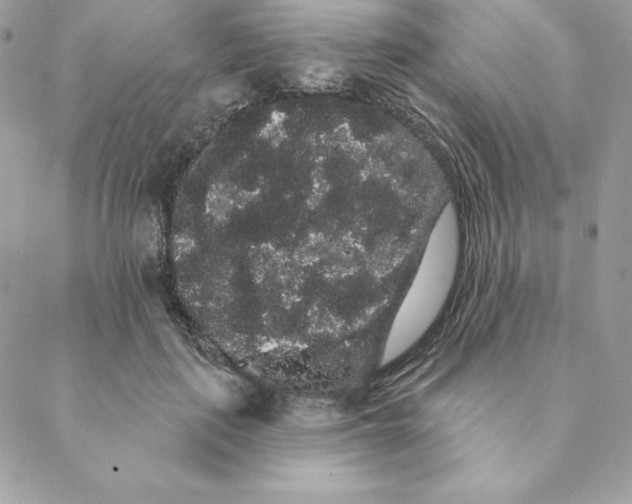 X0000088590651200706151737