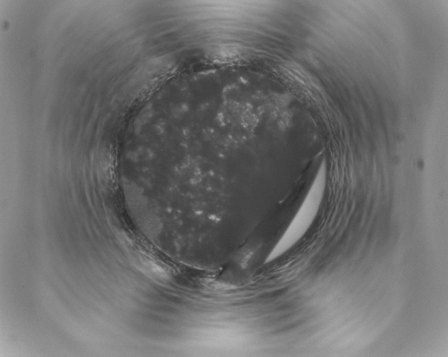 X0000088590653200706151737