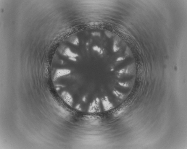 X0000088590654200706151737