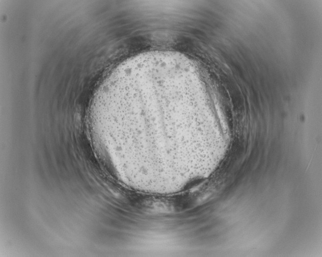 X0000088590655200706151737