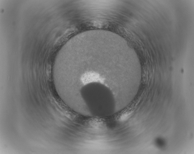 X0000088590656200706151737