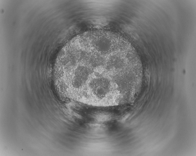 X0000088590657200706151737