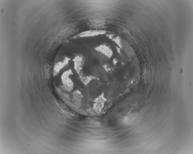 X0000088590658200706151738