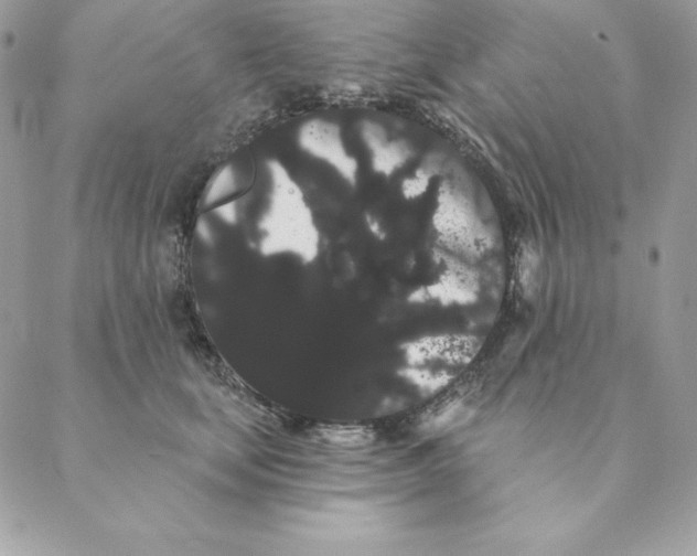 X0000088590659200706151738