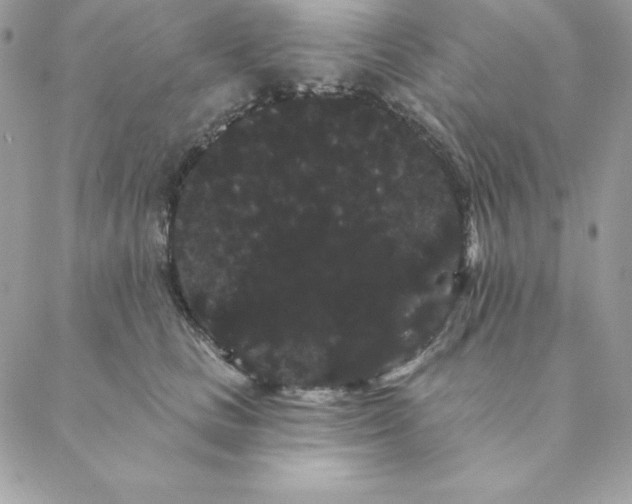 X0000088590661200706151738