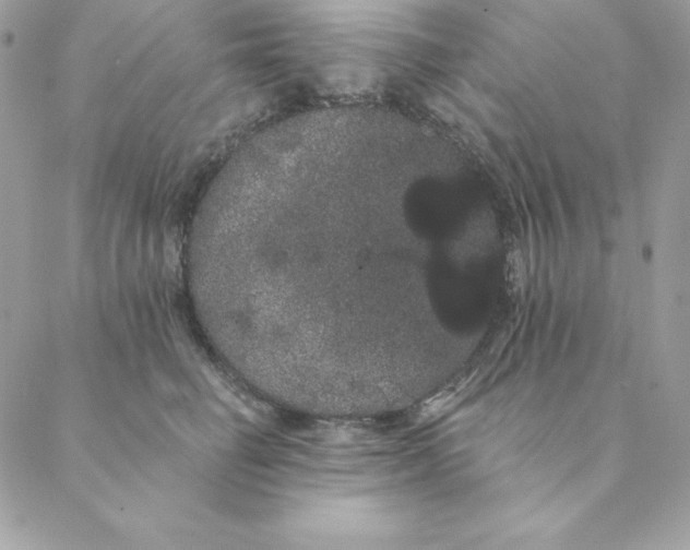 X0000088590662200706151738