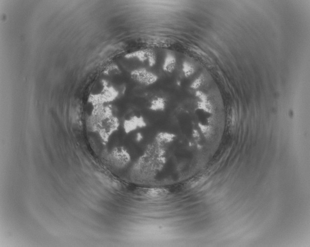 X0000088590663200706151738