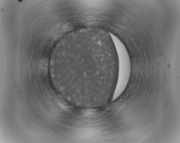 X0000088590664200706151738