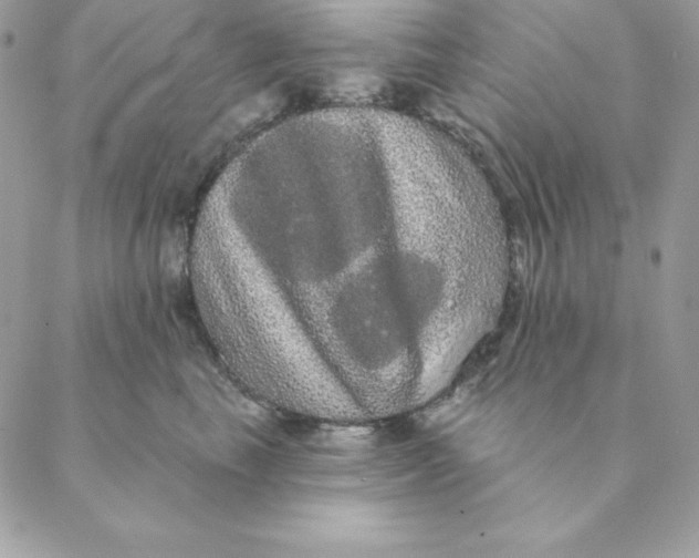 X0000088590665200706151738