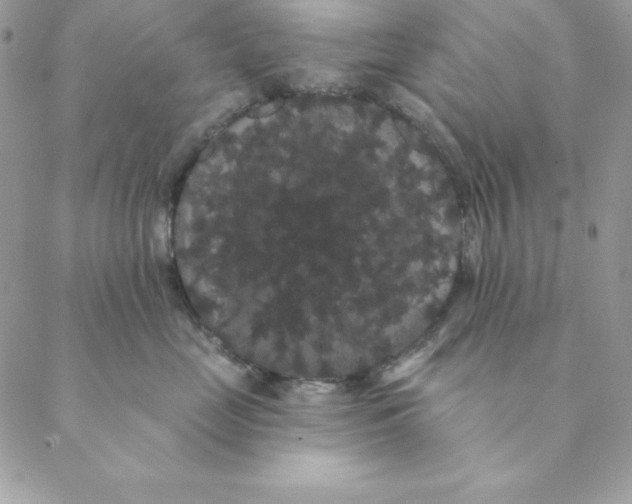 X0000088590669200706151738