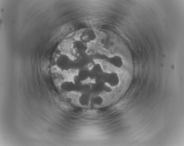 X0000088590671200706151738