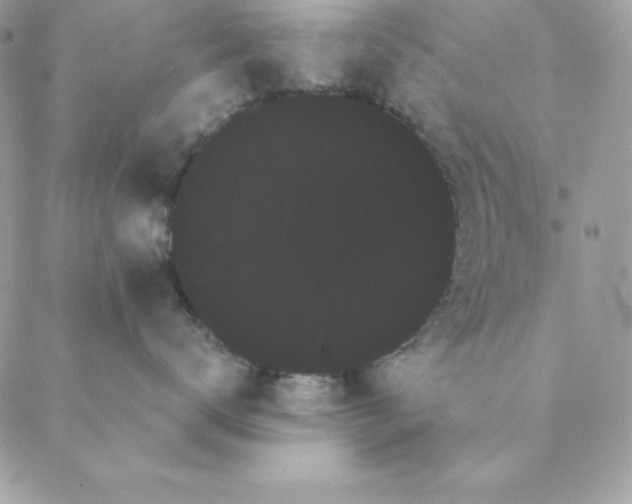 X0000088590672200706151738