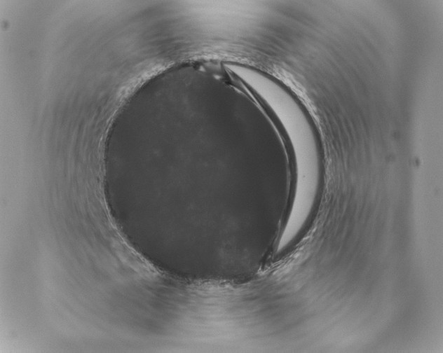 X0000088590673200706151737