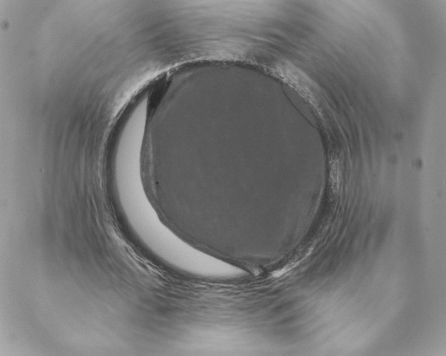 X0000088590676200706151737