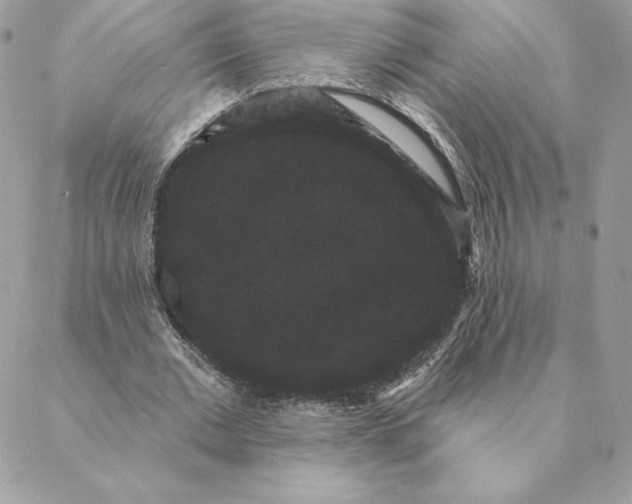 X0000088590677200706151737