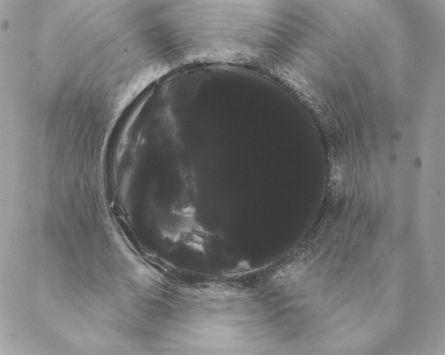 X0000088590678200706151737