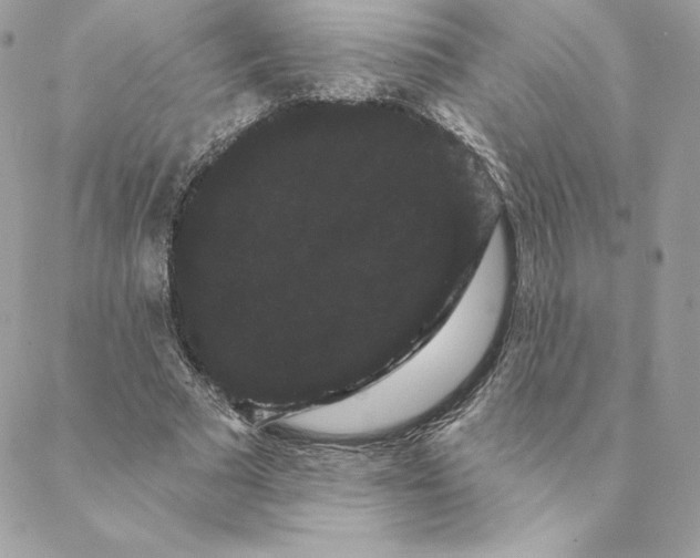 X0000088590681200706151737