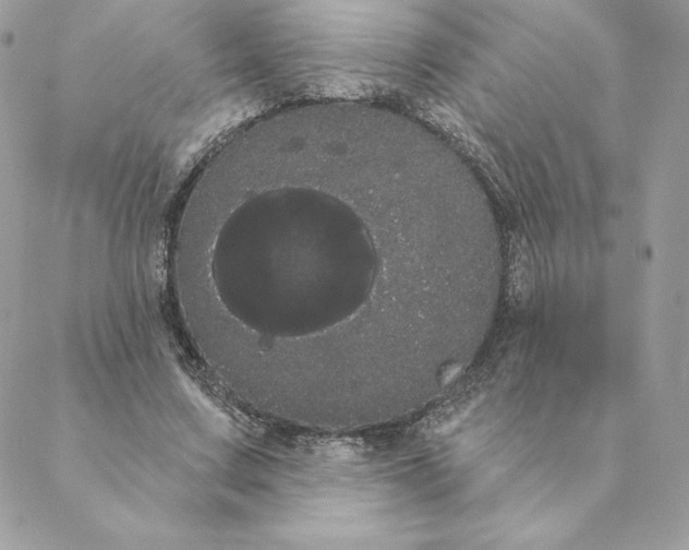 X0000088590683200706151737