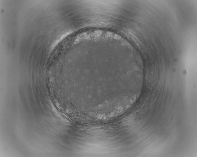 X0000088590684200706151737