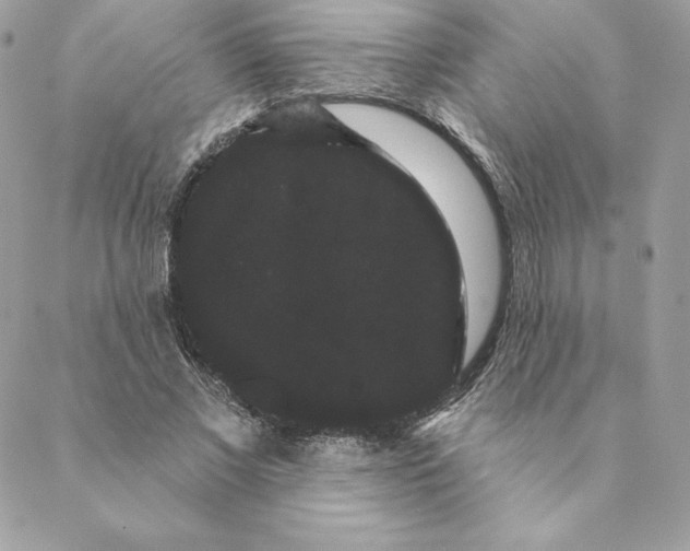 X0000088590685200706151737