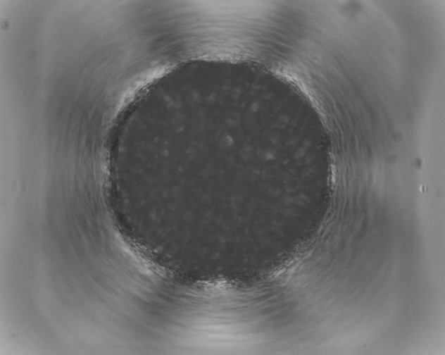 X0000088590688200706151737