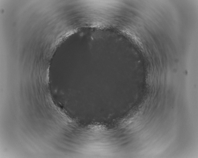 X0000088590689200706151737