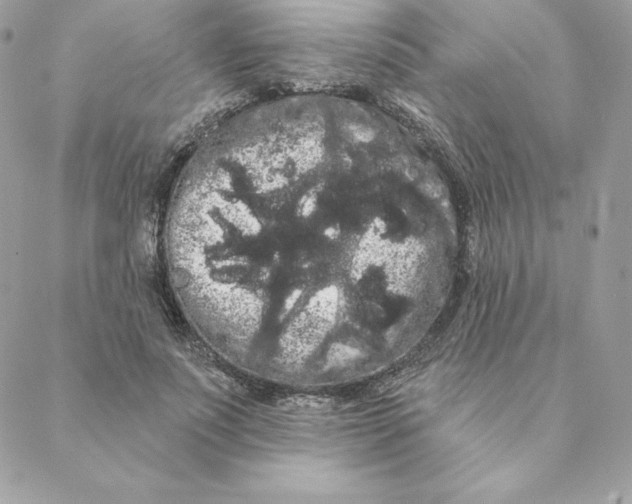 X0000088590691200706151737