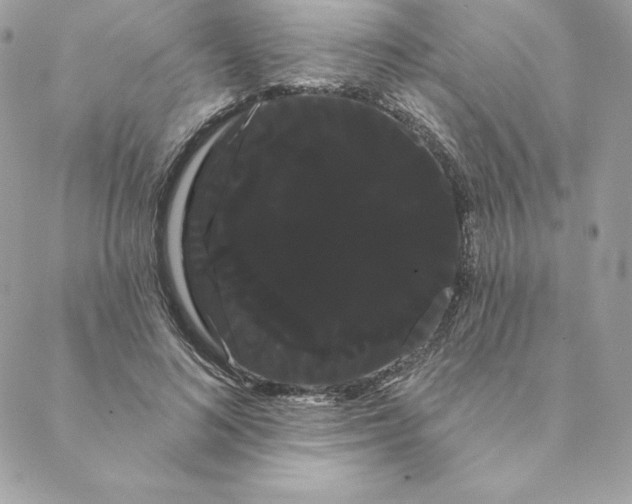 X0000088590692200706151737