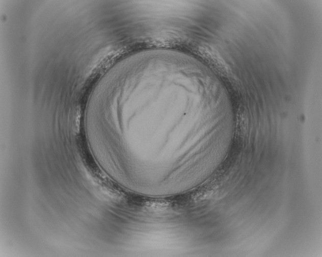 X0000088590694200706151737