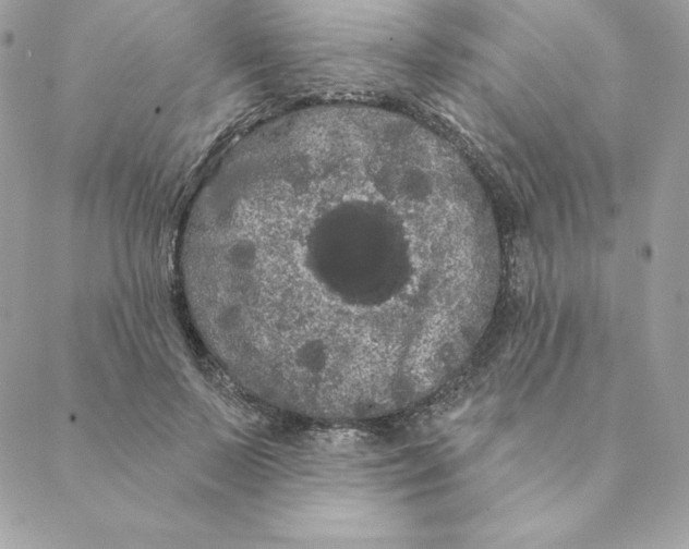 X0000088590695200706151737