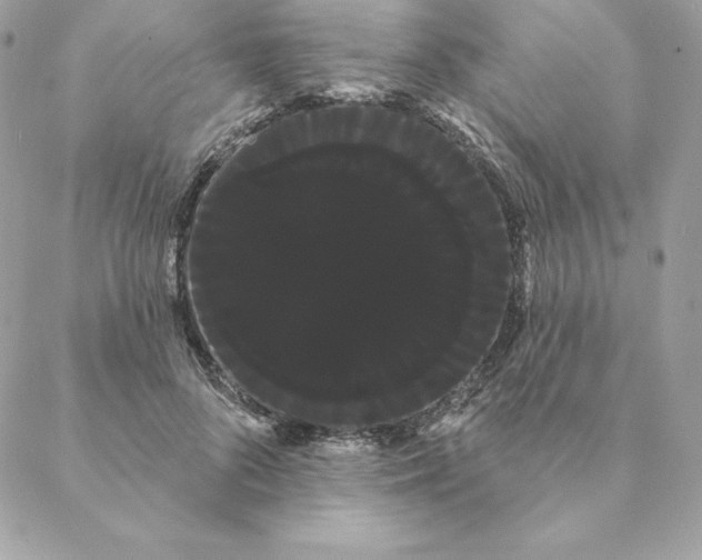 X0000088590696200706151737