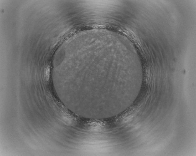 X0000088590697200706151737