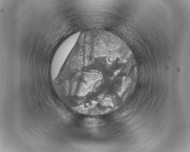 X0000088590699200706151737