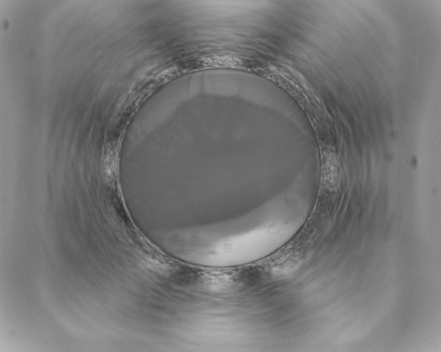 X0000088590701200706151736