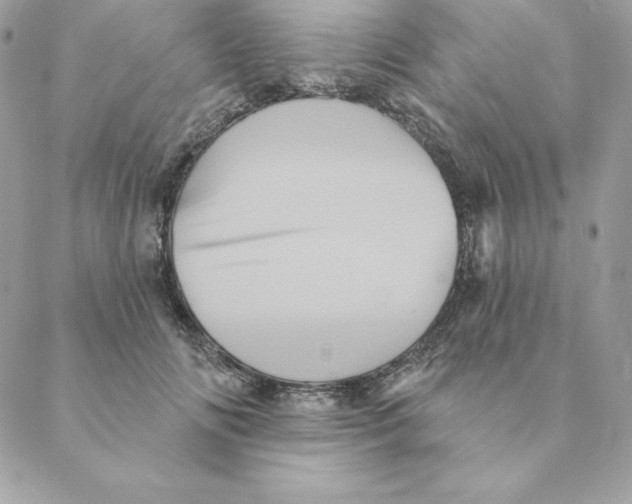 X0000088590702200706151736