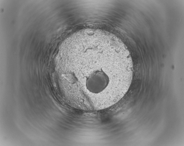 X0000088590703200706151736