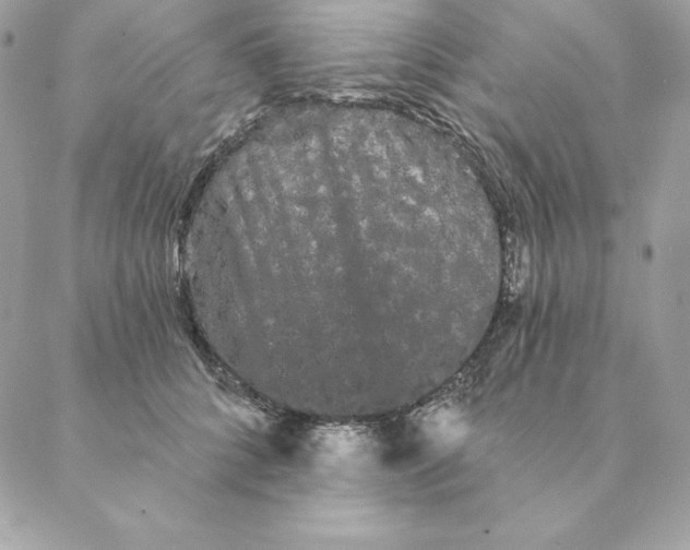 X0000088590704200706151736