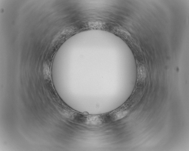 X0000088590705200706151736