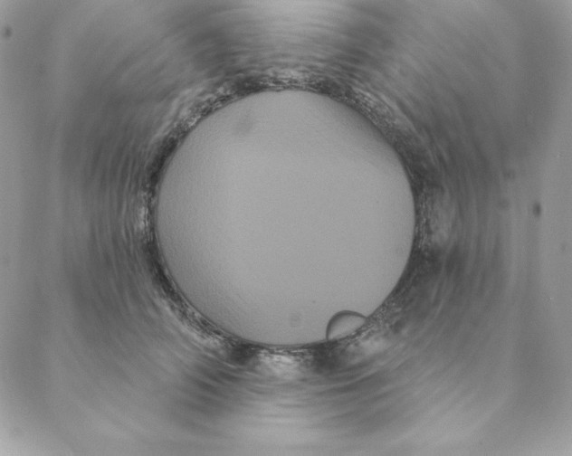 X0000088590706200706151736