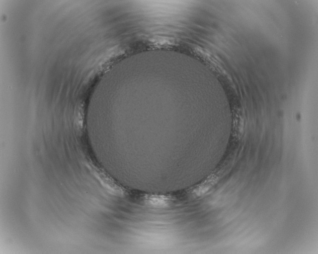 X0000088590710200706151736