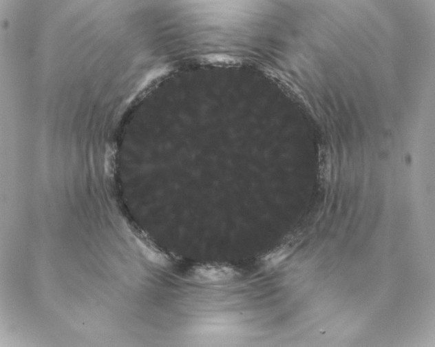 X0000088590712200706151736