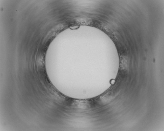 X0000088590713200706151736