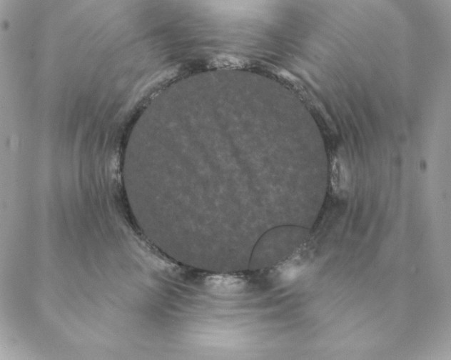 X0000088590714200706151736