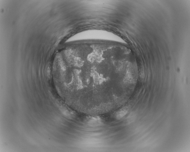 X0000088590715200706151736