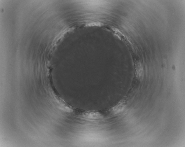 X0000088590716200706151736