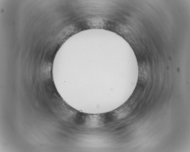 X0000088590717200706151736