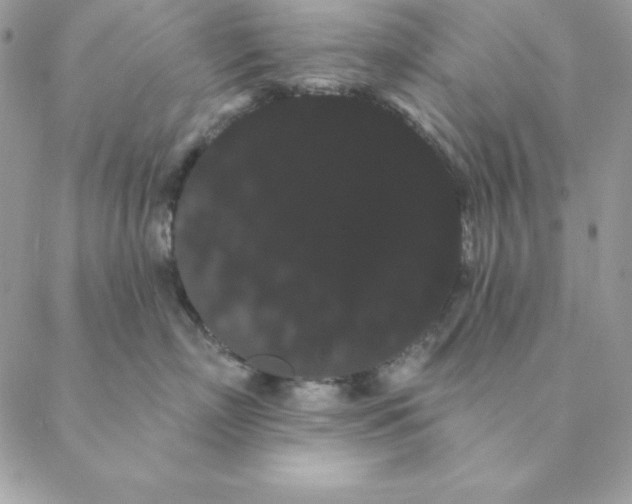 X0000088590718200706151736