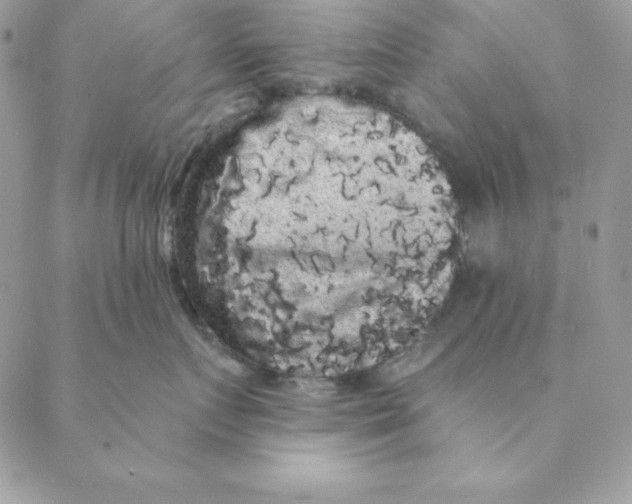 X0000088590719200706151736