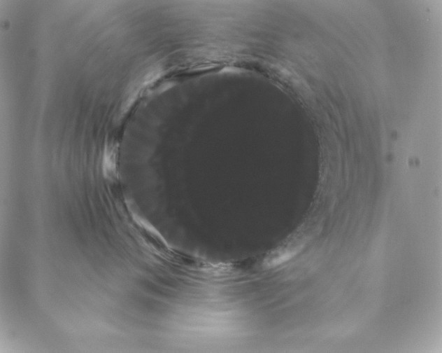 X0000088590720200706151736